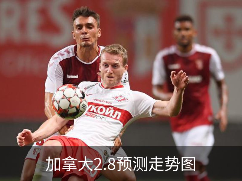 加拿大2.8预测走势图概况